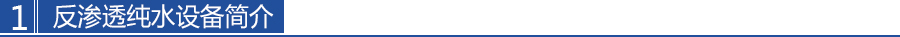 单级反(fǎn)渗透(tòu)水处(chù)理设备 12T/H